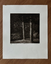 1971 RARE KATHRYN MATHERS (YALE AT NORFOLK) SIGNED LIMITED EDITION PRINT | 15" x 18" **RESERVED**