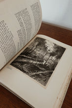 1914 RARE KING ALBERT'S BOOK BELGIAN ART FIRST EDITION