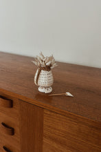 1950's SHELL TOOTHPICK HOLDER WITH SHELL PICKS